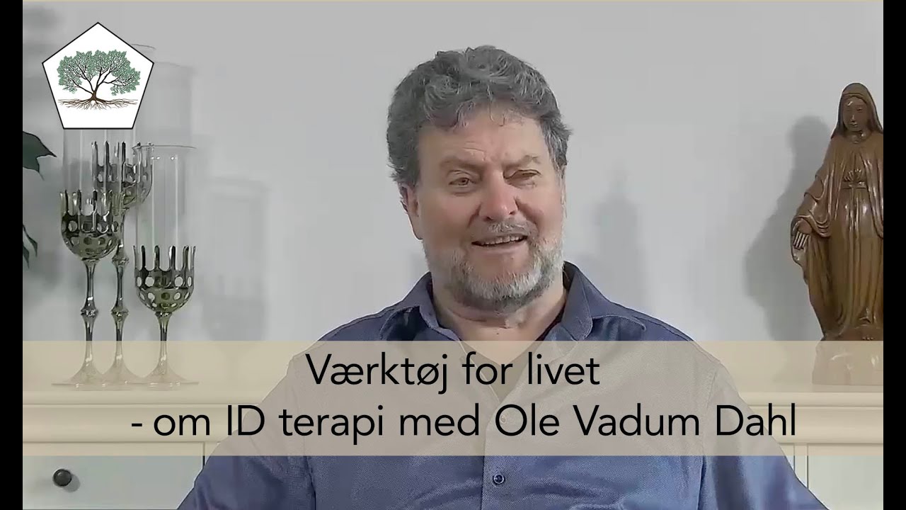 Værktøj for livet - i psykoterapi og i hverdagen ￼