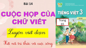 Bài 14: CUỘC HỌP CỦA CHỮ VIẾT (Luyện viết đoạn) - Kết nối tri thức - TV 3