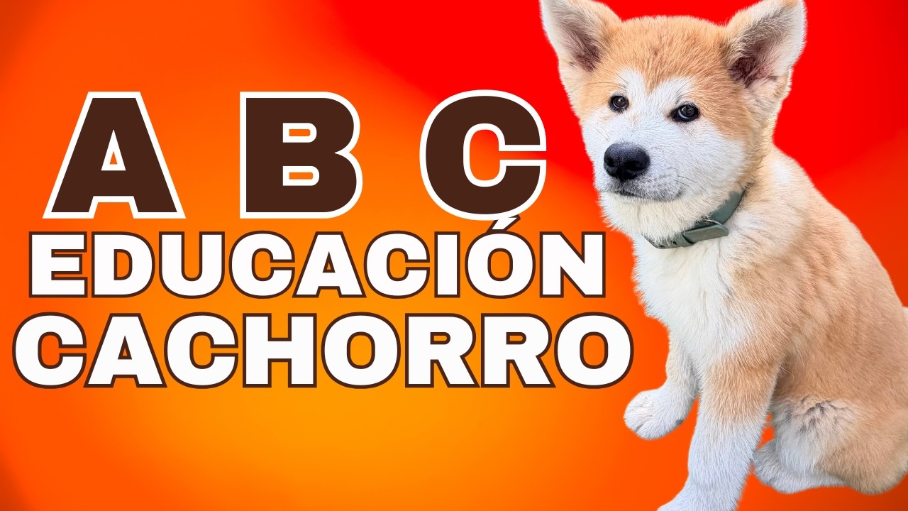 BASIC DOG TRAINING for PUPPIES (Step by Step for All Breeds)