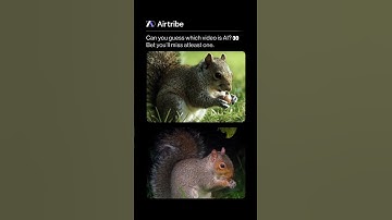 Real or AI? Can You Guess Which One’s Fake? (Made with Veo 3) #shorts