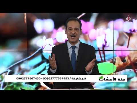 15 فائدة مذهلة العنب المجفف يوميا مع خبير الاعشاب حسن خليفة جنة الاعشاب