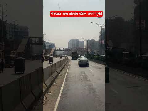 শহরের ব্যস্ত রাস্তায় হঠাৎ এমন দৃশ্য! #viralvideo #viral