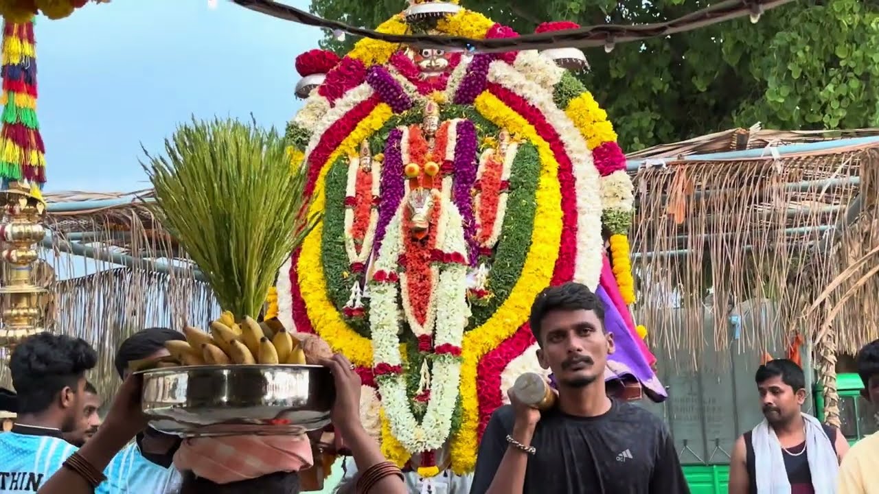 ಶ್ರೀ ಬೆಟ್ಟದ ರಂಗನಾಥ ಸ್ವಾಮಿ ಕುಣಿಗಲ್ ಬೊಮ್ಮಡಿಗೆರೆಯಲ್ಲಿ ಪಾಣಿ ಸೇವೆ#sriranganathaswamytemple #viralvideo