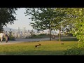   city park sounds effects from jericho beach in vancouver bc wrabbits pedestrians cyclists