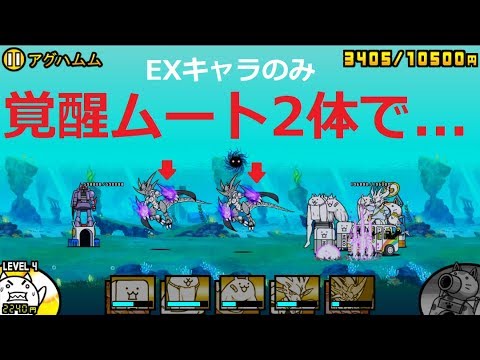 にゃんこ大戦争 2体の覚醒のネコムートで突っ込むと アグハムム攻略 Youtube