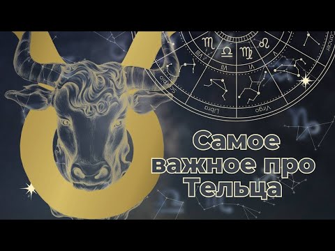 ТЕЛЕЦ ПЛЮСЫ И МИНУСЫ