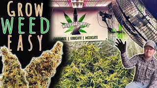 THINGS ARE GETTING BIG IN THE GROW ROOM - AUTOFLOWER CANNABIS GROW IN COCO COIR