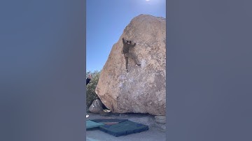 JBMFP (V5) - Joshua Tree