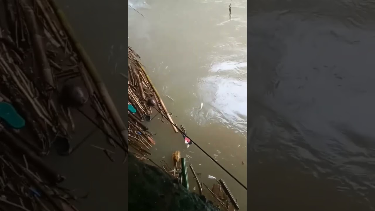 Mancing ikan kething sehabis banjir