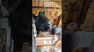 Molana ajaz ul haq qadri sab naati sharif at asari sharif Makhama 