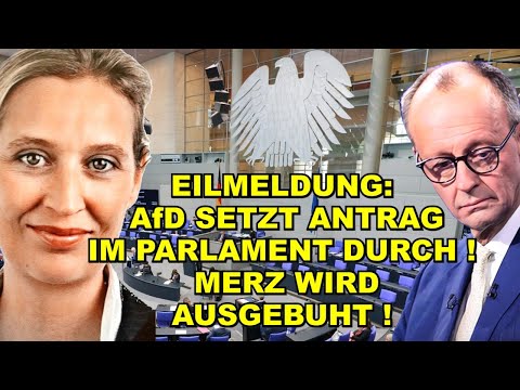 EIL: AfD SIEGT mit Antrag! Merz AUSGEBUHT!