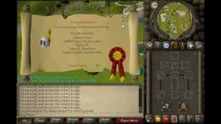 Runescape 2007 Old School Servers Day#1 First Thoughts