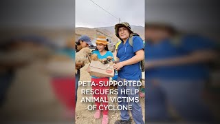 PETA-Supported Rescuers Help Animal Victims of Cyclone Yaku in Peru