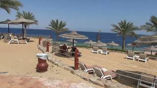 Ренессанс Шарм Эль Шейх (Renaissance Sharm El Sheikh)(2014) -- Пляж