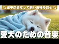 愛犬が落ち着く音楽 (12時間広告なし) 🐶 犬が好きな音楽 | 夜泣き防止 / vol.767