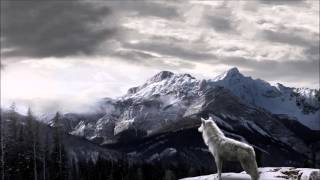 Forgotten Wolf - Heal Your Mind