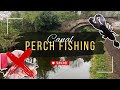 Ultra light lure fishing for perch on the canal - Birmingham Anglers Association - Soft Plastics