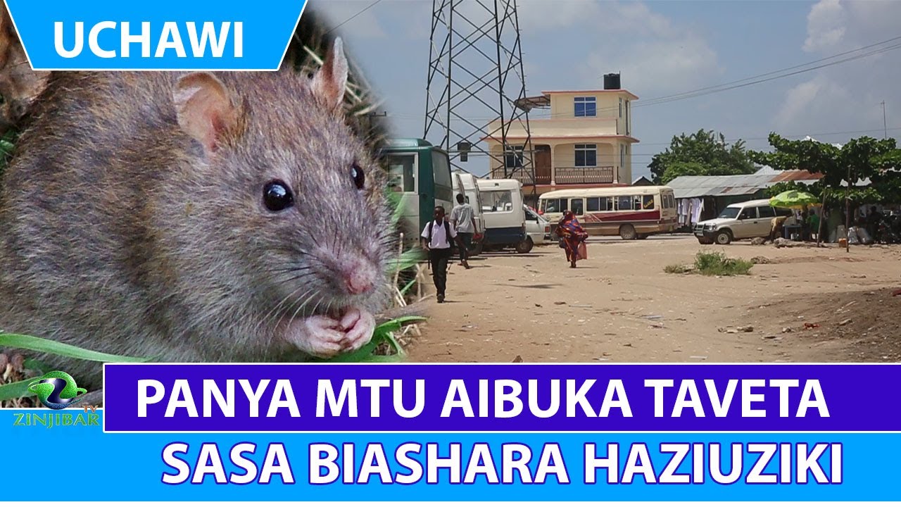PANYA MTU AIBUKA TAVETA SASA BIASHARA HAZIUZIKI
