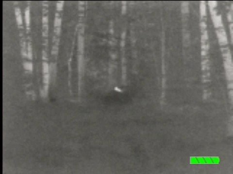 the first ever thermal image of bigfoot recorded b...