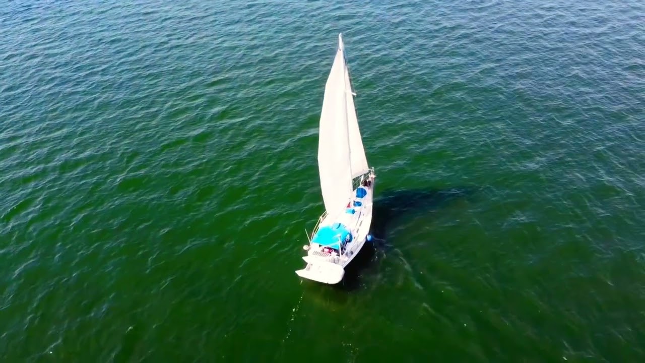 Hunter 34 out sailing