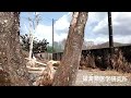 後遺症により終生飼育しているワシたちに想うこと