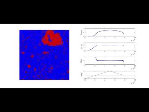Monte Carlo Simulation of a temperature scan in the Ising model - YouTube