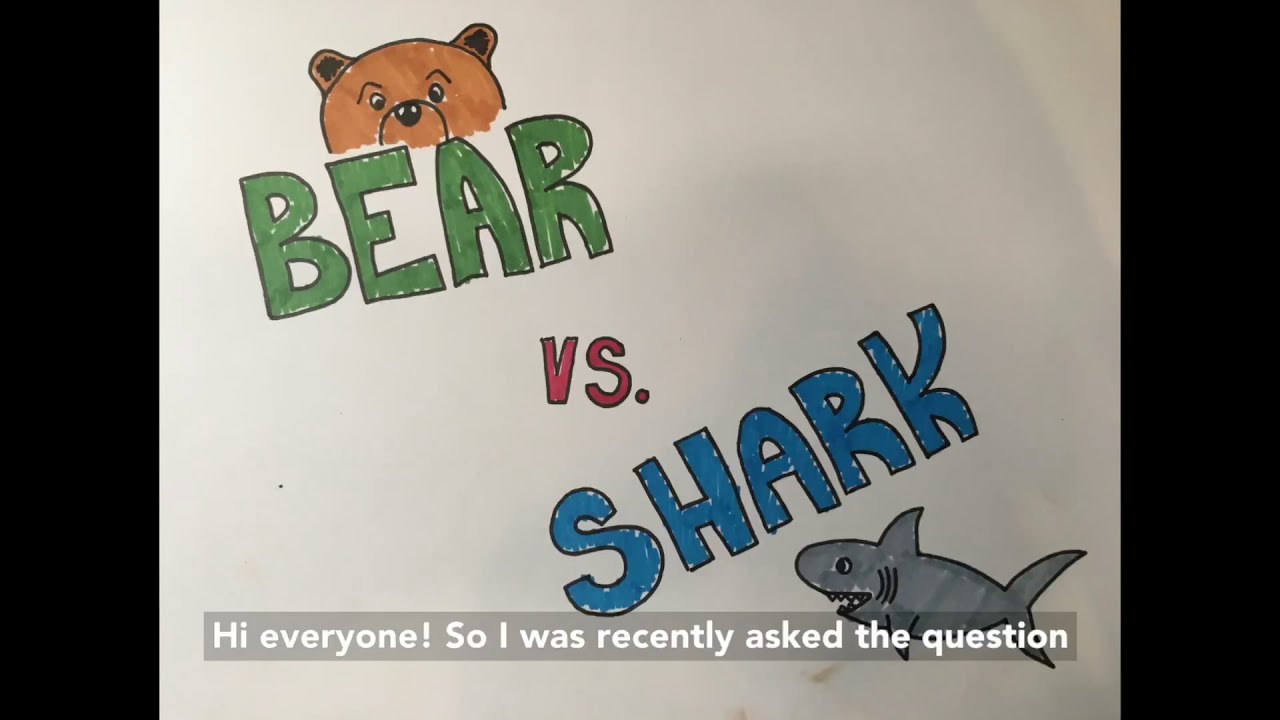 Bear vs. Shark - Global Science Show 17/07/20