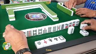 Aussie Mahjong #462