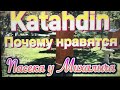 Катумские или Katahdin овцы.