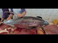 Giant Tuna Fish Cutting!50 KG $500 Biggest Tuna Fish Fillet Technique।Fast Fish Cutting Skills