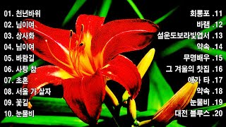 상큼한 트로트 메들리🎄트로트 신곡 메들리 PLAYLIST ✅ (김희재, 장민호,양지은, 홍지윤,정동원,영탁,이찬원,김태연,김의영,임영웅,별사랑,은가은)