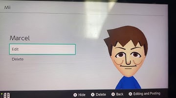 Extra Custom Switch Sports / Switch Sports Resort CPU Miis