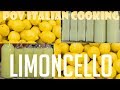 Limoncello: POV Italian Cooking Episode 91