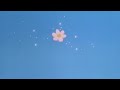 سالي الحلقة 17 سالي الحلقة 17
