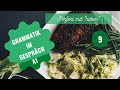 Немецкий язык. Уроки немецкого языка. PERFEKT MIT "HABEN"