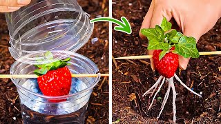 Gardening Hacks: Planting Tips and Tricks