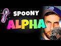 🥄 Spoony Wielders 🔥 HOT NEW pDAI ALPHA