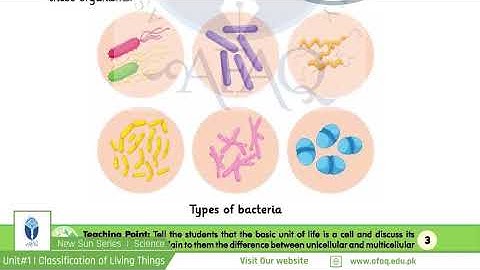 NSS Grade 05 Science Chapter 01 Part 01