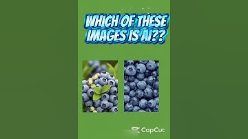 Real Or AI??? #guess #fun