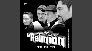 Video thumbnail of "Orquesta La Reunión - Tributo a la Salsa: Aquí Estás Otra Vez / Te Amo por Tu Sencillez / Lluvia / Ven Devórame..."