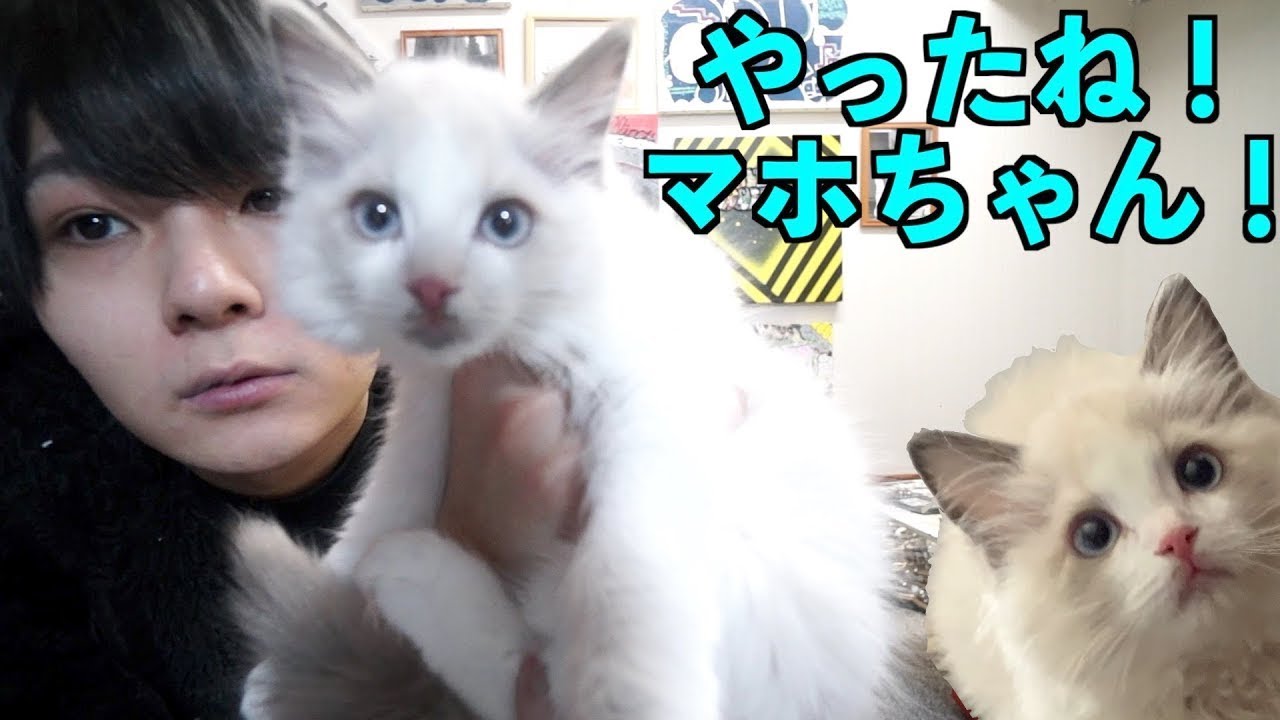 【ご報告】家族が増えました！！！【2020/03/31】