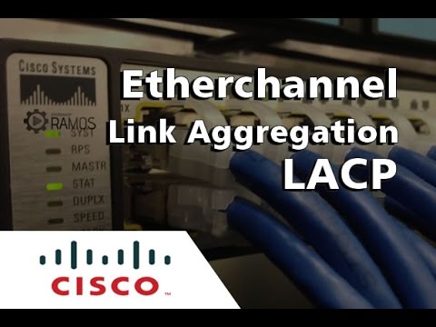 Vídeo: Por que você ativaria mais de uma NIC em um PC Cisco?