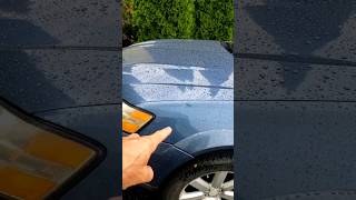 Why You Should Wax Your Car? #carmaintenance