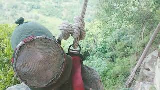 panen labah madu batu cadas Sumatra barat#kariasaoklawehsolok