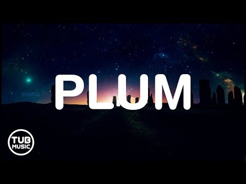 Troye Sivan - Plum (Lyrics)🎵