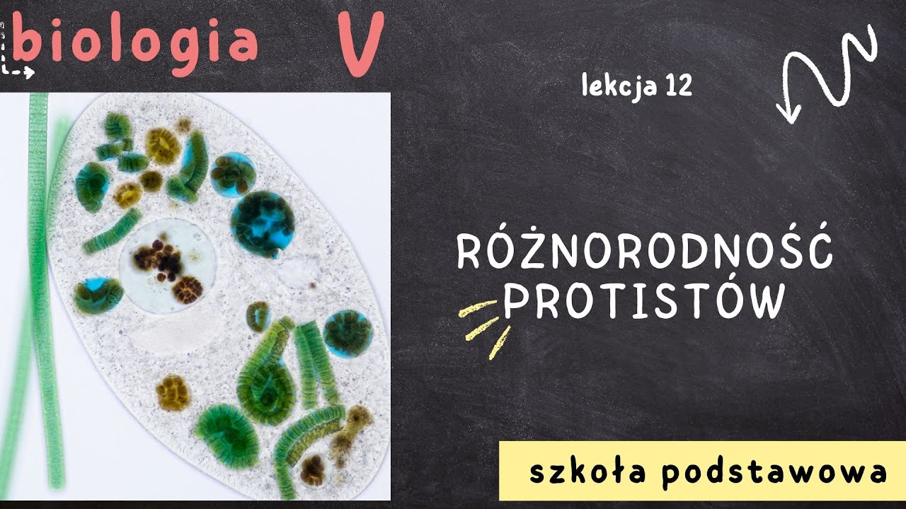 Biologia klasa 5 [Lekcja 12 - Różnorodność protistów]