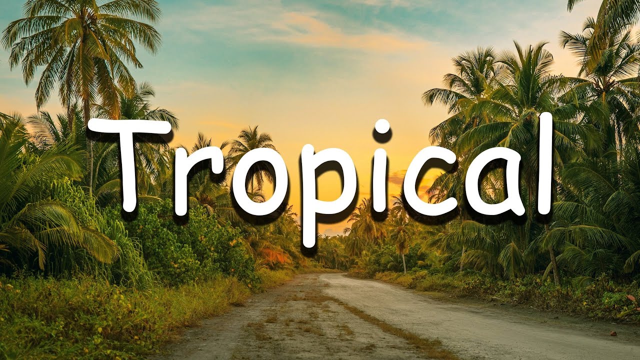 All Summer Long Tropical Chill House Background Dance Music by
