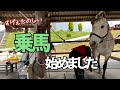 【乗馬】ズボラ主婦が乗馬始めました～お手入れ～