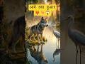 Greedy Wolf & Clever Crane 🐺🦢 | मदद का मिला धोखा! 😱 #shortsviral #shorts #story #cartoon