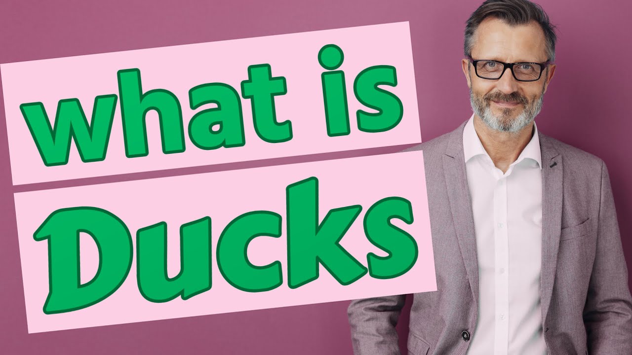 Ducks Meaning of ducks 📖 YouTube